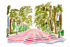 1_C9EB1F40-CDC3-41DC-B8DE-606A025CCF07-removebg-preview